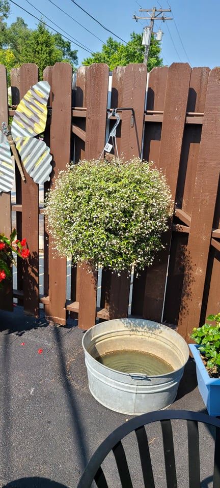 222454073_872341293677865_4348932771061266673_n